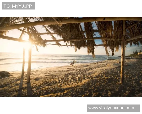 深圳极限运动队实力分析与表现评估探讨